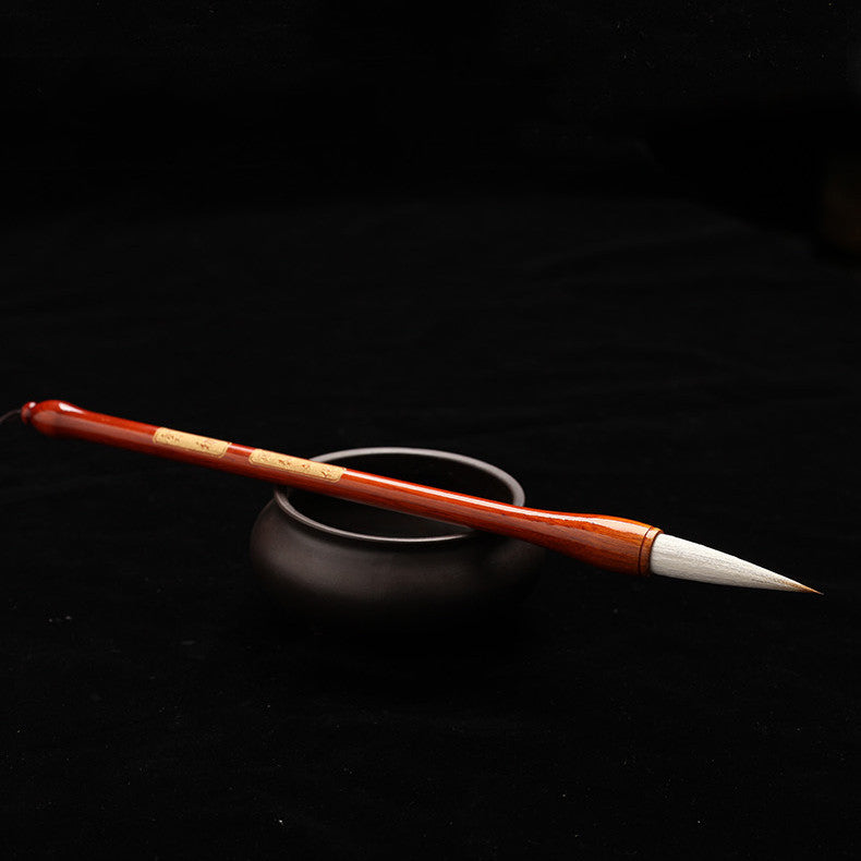 Adult Largemedium And Small Case Brush Set